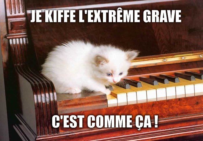 Je kiffe l'extrême grave. C'est comme ça !