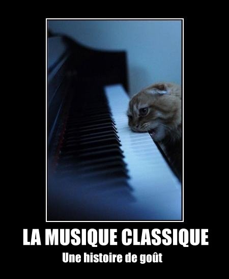 La musique classique, une histoire de goût !