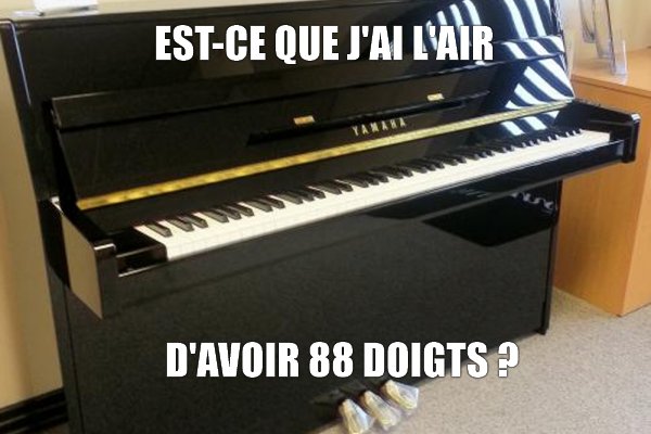 Est-ce que j'ai l'air d'avoir 88 doigts ?