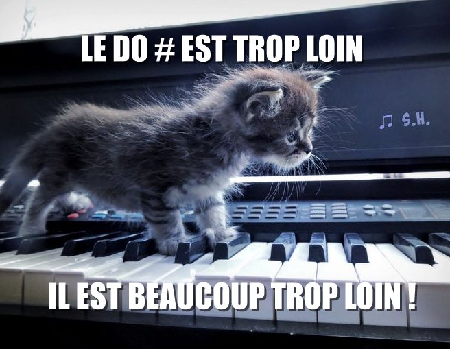 Do# trop loin